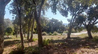 Terrain agricole à Aljubarrota de 3 250 m²