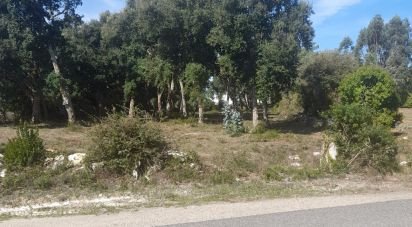 Terrain agricole à Aljubarrota de 3 250 m²