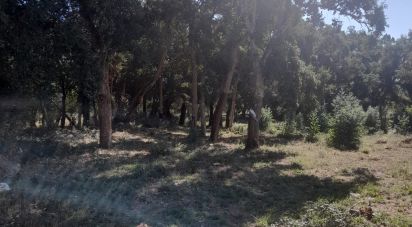 Terrain agricole à Aljubarrota de 3 250 m²