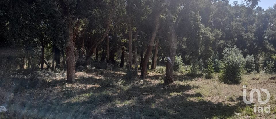 Terrain agricole à Aljubarrota de 3 250 m²