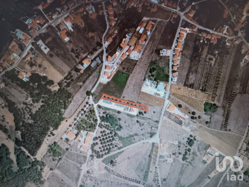 Terreno rústico em Aljubarrota de 1 666 m²