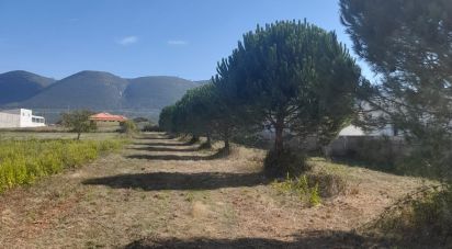 Terrain agricole à Aljubarrota de 1 666 m²