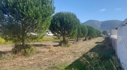 Terrain agricole à Aljubarrota de 1 666 m²