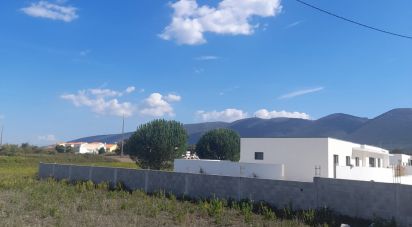 Terrain agricole à Aljubarrota de 1 666 m²