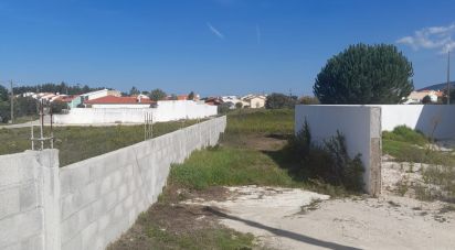 Terrain agricole à Aljubarrota de 1 666 m²