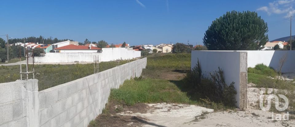 Terreno rústico em Aljubarrota de 1 666 m²