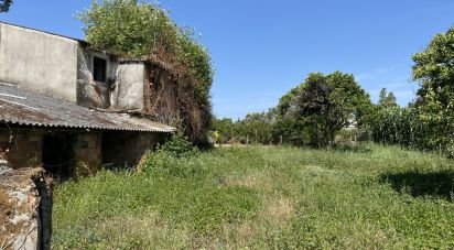 Maison T3 à Porto de Mós - São João Baptista e São Pedro de 387 m²