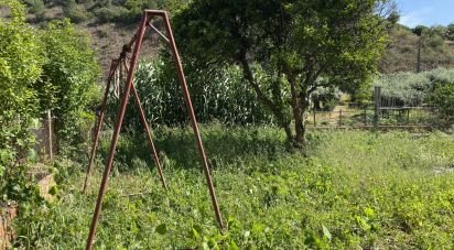 Maison T3 à Porto de Mós - São João Baptista e São Pedro de 387 m²