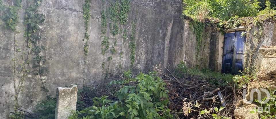 Moradia T3 em Porto de Mós - São João Baptista e São Pedro de 387 m²