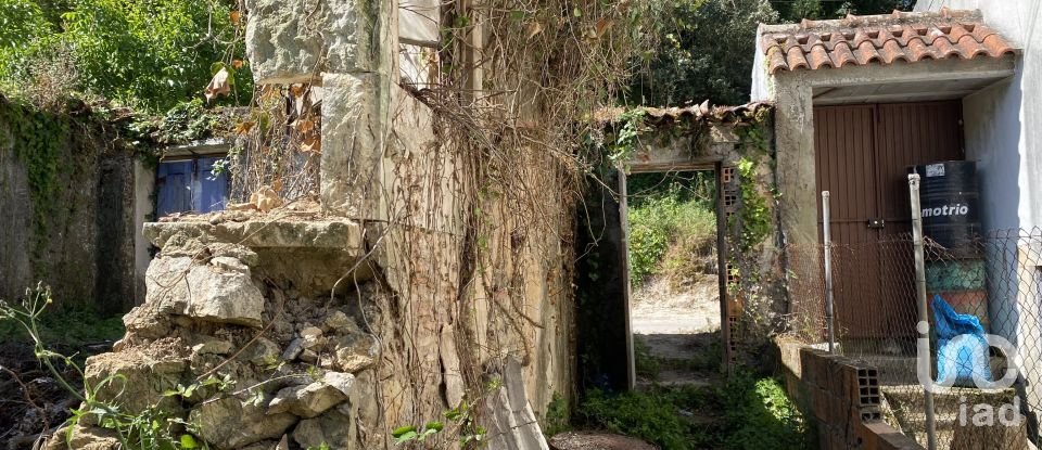 Moradia T3 em Porto de Mós - São João Baptista e São Pedro de 387 m²