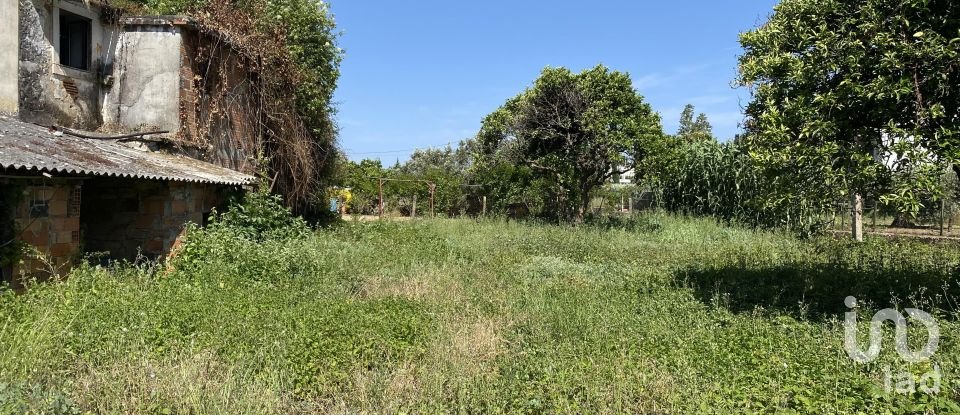 Moradia T3 em Porto de Mós - São João Baptista e São Pedro de 387 m²