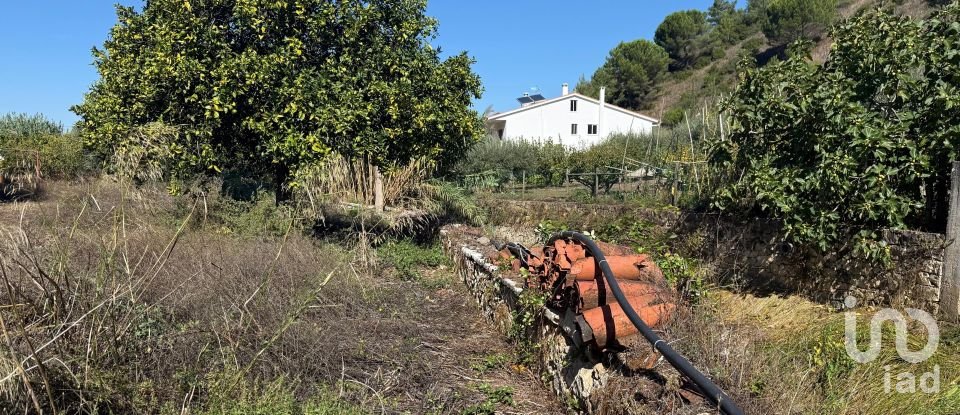 Moradia T3 em Porto de Mós - São João Baptista e São Pedro de 387 m²