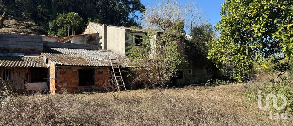 Moradia T3 em Porto de Mós - São João Baptista e São Pedro de 387 m²