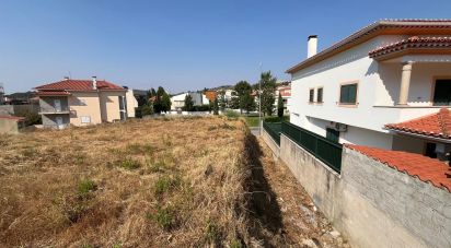 Terrain à Castelo Branco de 360 m²