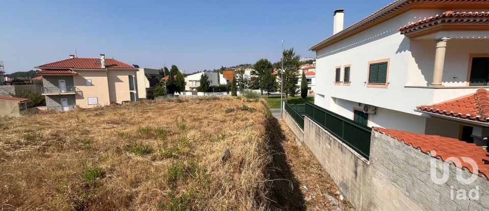 Terreno em Castelo Branco de 360 m²
