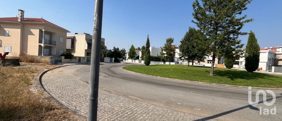 Terreno em Castelo Branco de 360 m²