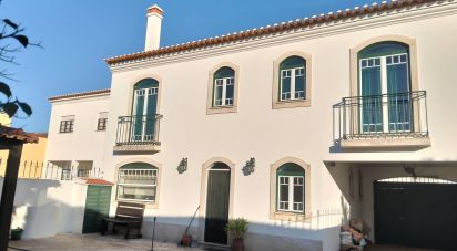 Maison T4 à Alpiarça de 436 m²