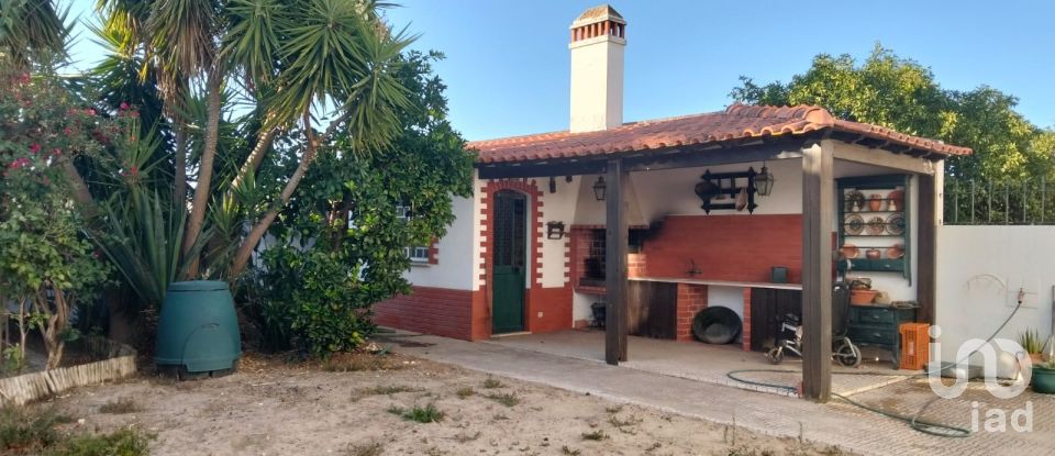 Moradia T4 em Alpiarça de 436 m²