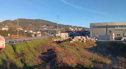 Terrain à Oliveira (Santa Maria) de 2 623 m²