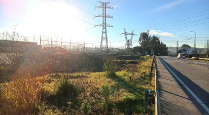 Terrain à Oliveira (Santa Maria) de 2 623 m²