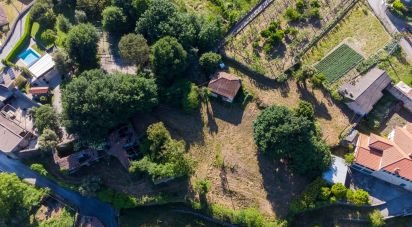 Terrain à Vilela de 11 640 m²