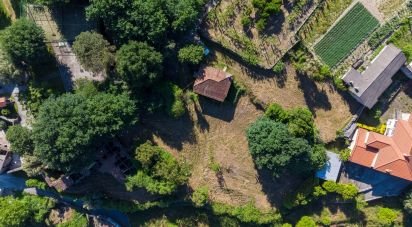 Terrain à Vilela de 11 640 m²