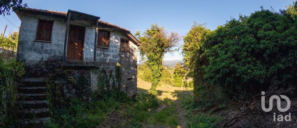 Terreno em Vilela de 11 640 m²