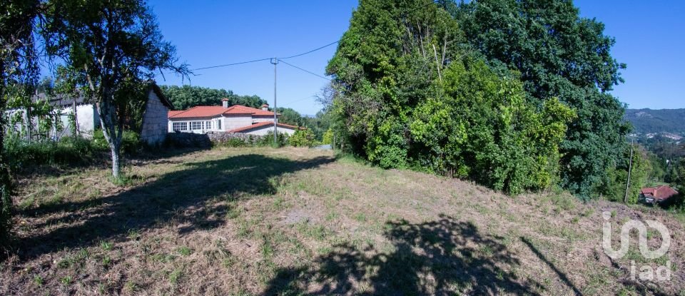 Terreno em Vilela de 11 640 m²