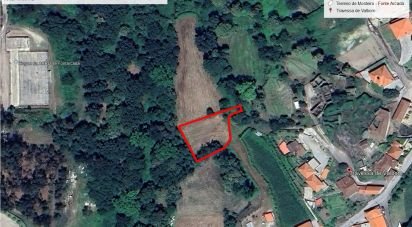 Terrain agricole à Fonte Arcada E Oliveira de 1 100 m²