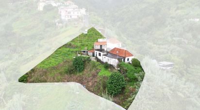 House T2 in Porto da Cruz of 128 m²