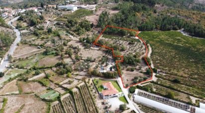 Terrain à Germil de 11 374 m²