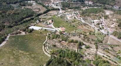 Terrain à Germil de 11 374 m²