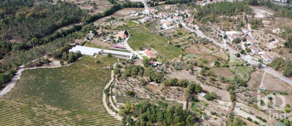 Terrain à Germil de 11 374 m²