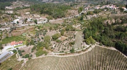 Terrain à Germil de 11 374 m²