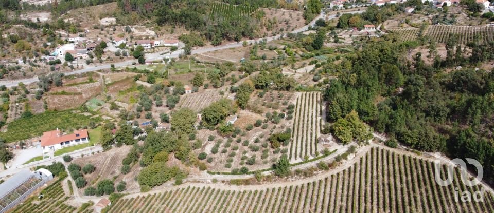 Terrain à Germil de 11 374 m²