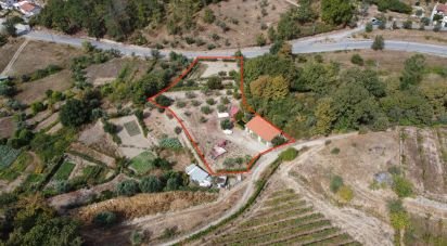 Terrain à Germil de 2 617 m²