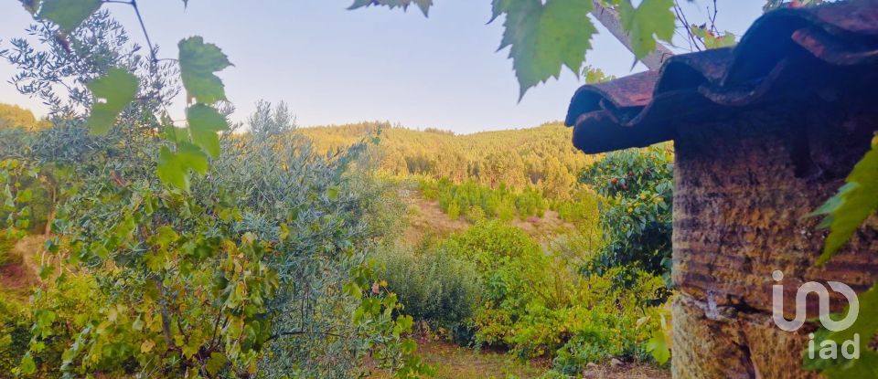 Ferme T4 à Pedrógão Pequeno de 90 m²