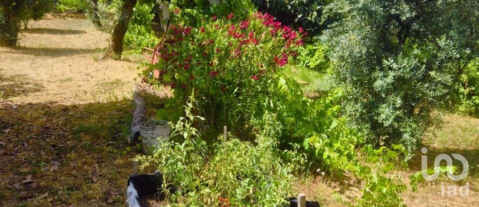 Ferme T4 à Pedrógão Pequeno de 90 m²