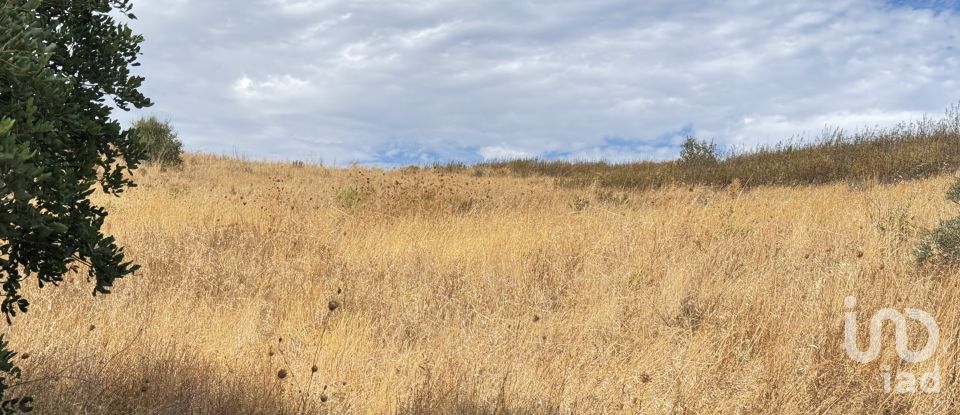 Moradia T3 em Mexilhoeira Grande de 178 m²