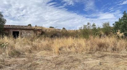 Maison T3 à Mexilhoeira Grande de 178 m²