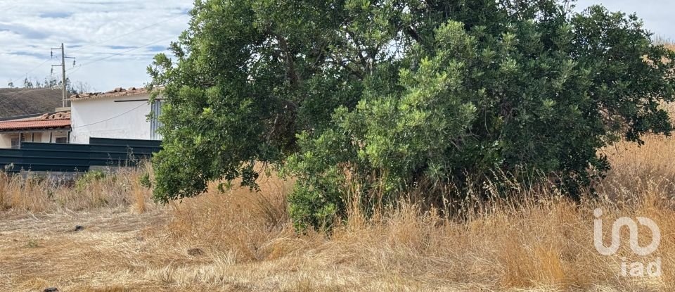 Moradia T3 em Mexilhoeira Grande de 178 m²