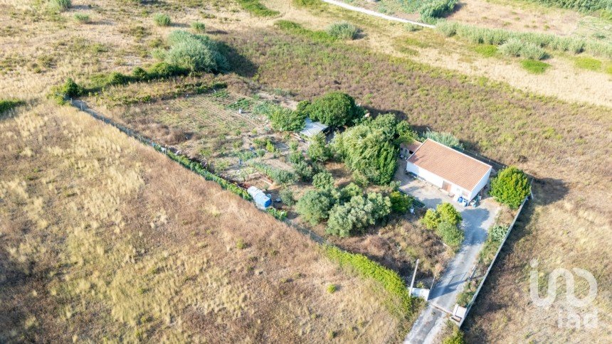 Armazém T1 em Lourinhã e Atalaia de 317 m²