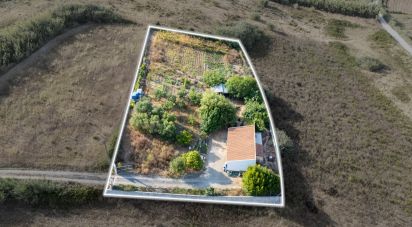 Pavillon T1 à Lourinhã e Atalaia de 317 m²