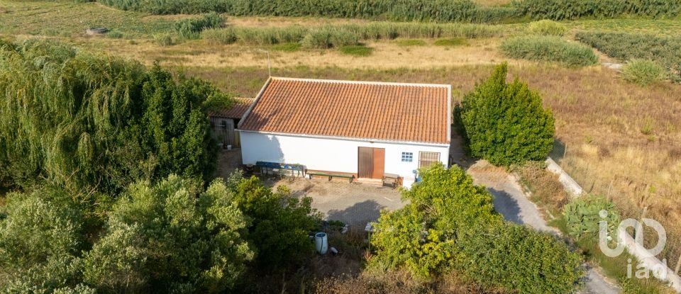 Armazém T1 em Lourinhã e Atalaia de 317 m²