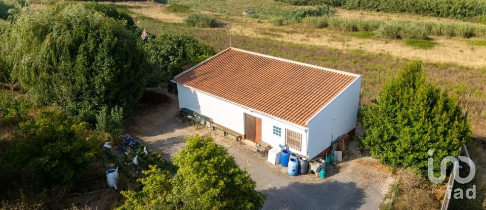 Armazém T1 em Lourinhã e Atalaia de 317 m²