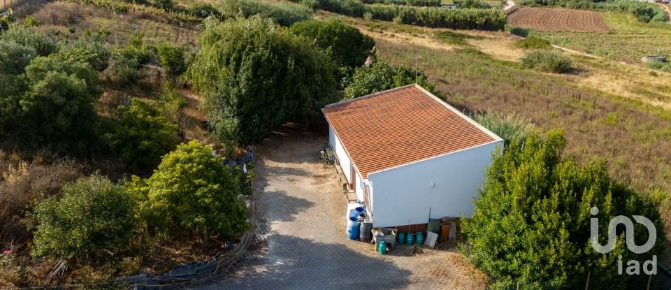 Armazém T1 em Lourinhã e Atalaia de 317 m²