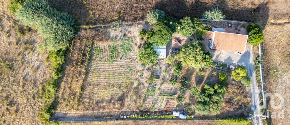 Armazém T1 em Lourinhã e Atalaia de 317 m²