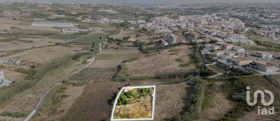 Armazém T1 em Lourinhã e Atalaia de 317 m²