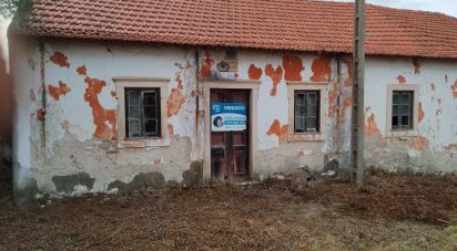 House T0 in Pedreiras of 3,200 m²