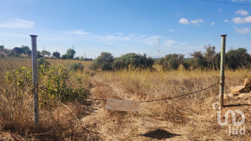 Terreno rústico em Algoz e Tunes de 26 190 m²